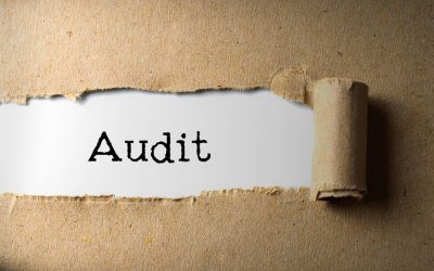 A Life in Audit: A Conversation with Ann Stock